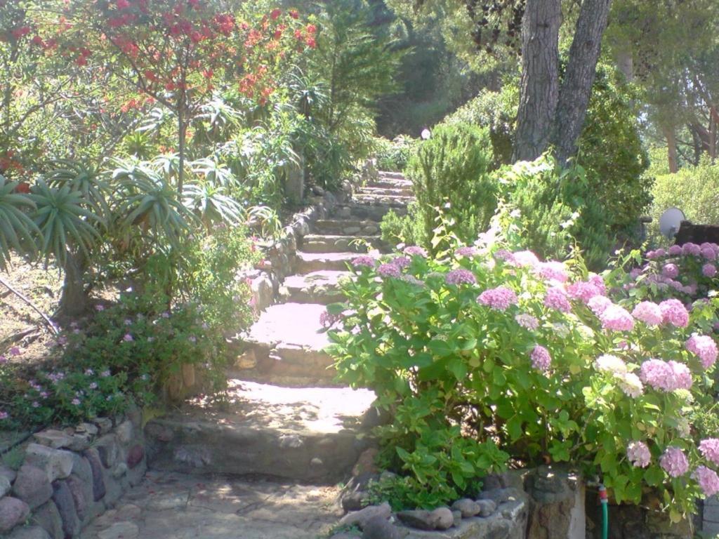 Auberge Ferayola Galeria  Dış mekan fotoğraf