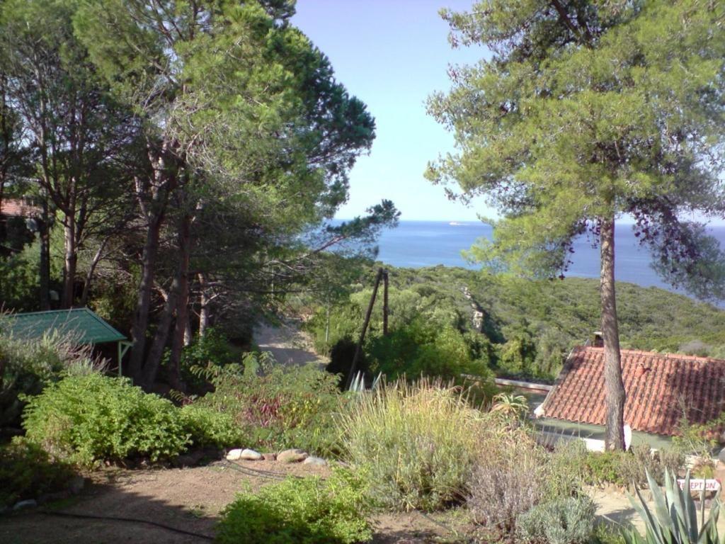 Auberge Ferayola Galeria  Oda fotoğraf